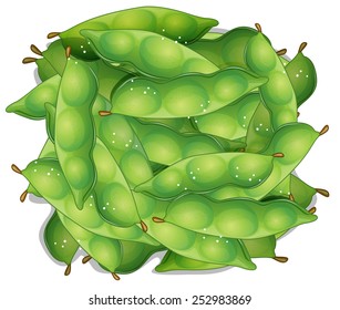 Illustration Of A Bunch Of Edamame