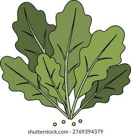 Illustration of a bunch of fresh green oakleaf lettuce with visible seeds, showcasing its vibrant color and natural texture.