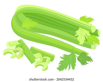 Illustration of a bunch of fresh tasty celery. Vector