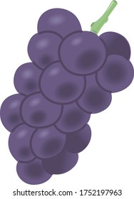 
Illustration of a bunch of grapes