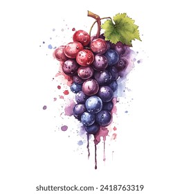 ilustración de un grupo de uvas con una hermosa combinación de acuarela