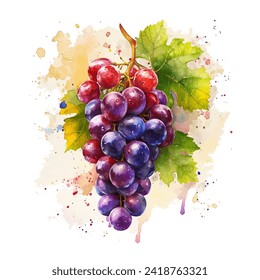 ilustración de un grupo de uvas con una hermosa combinación de acuarela