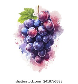 illustration of a bunch of grapes with a beautiful watercolor combination