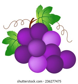 Illustration of a bunch of grapes isolated on white background.