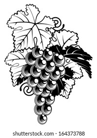 An illustration of a bunch of grapes on a grapevine in a  vintage woodcut print style