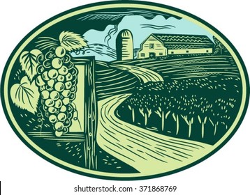 Illustration of a bunch of grapes on vine with leaves with winding road in vineyard or winery and barn farmhouse in background set inside oval shape done in retro woodcut style. 