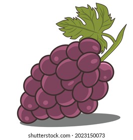 illustration of bunch of grapes on white background for children's book