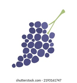 Illustration of a bunch of grapes. Vector drawing of fruit for design