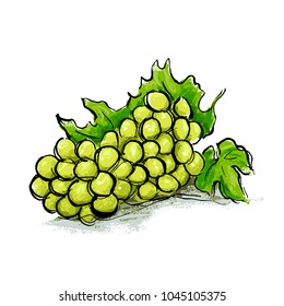 An illustration of a bunch of green grapes.