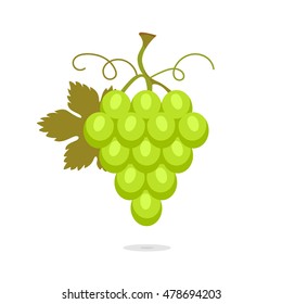 Illustration with bunch of green grapes with leaf. Sweet fruit isolated on white background. Vector icons set