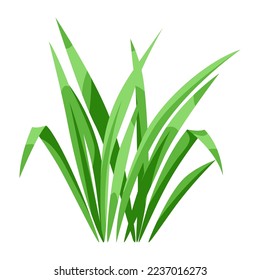 Illustration of bunch of green grass. Beautiful decorative summer lawn.