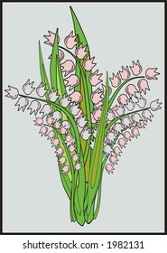Illustration of bunch of lilies of the valley