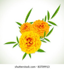 illustration of bunch of marigold flower with leaf