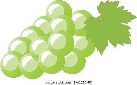 An Illustration of a bunch of muscat
