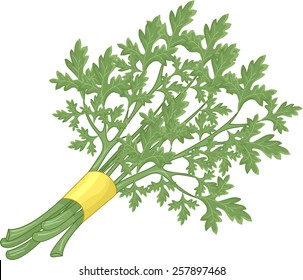 parsley cartoon clipart