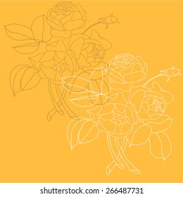 Illustration of bunch of peonies 