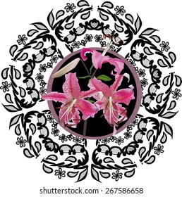 illustration with bunch of pink lily flowers in black design isolated on white background