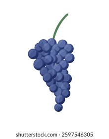  Illustration of a bunch of purple grapes with a green stem.