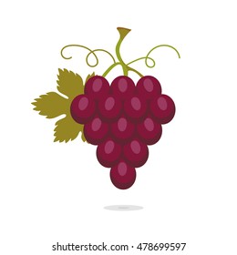 Illustration with bunch of red grapes with leaf. Sweet fruit isolated on white background. Vector icons set