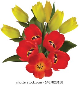 illustration with bunch of tulip flowers isolated on white background