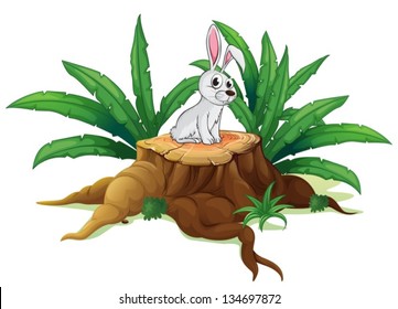 Illustration of a bunny above a trunk on a white background