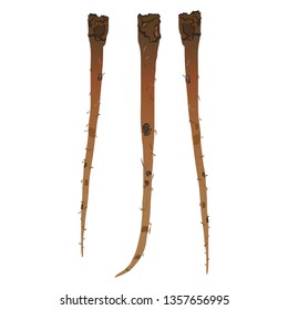 Illustration of burdock