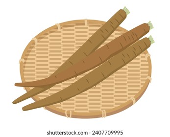 Illustration of burdock in a basket