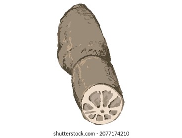 Illustration of burdock with a rough and warm touch