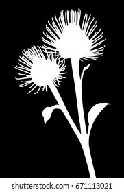 illustration with burdock silhouette isolated on black background