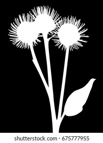 illustration with burdock silhouette isolated on black background