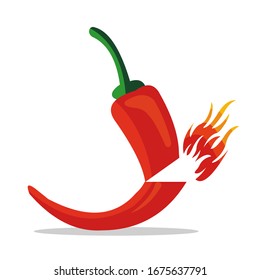 Illustration of burning chili, spicy chili logo, Vector illustration with white background.