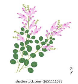 Illustration of bush clover, one of the seven herbs of autumn