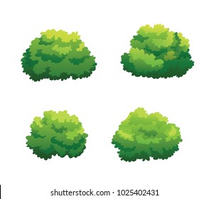 Illustration Of Bush For Decorate The Garden Beautifully.