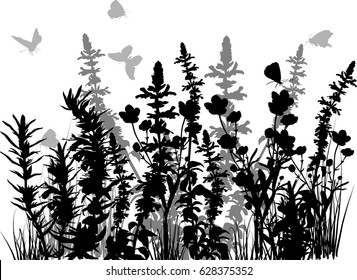 illustration with butterflies above black and grey plants isolated on white background