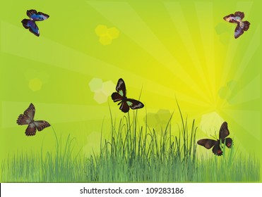 illustration with butterflies above grass on green background