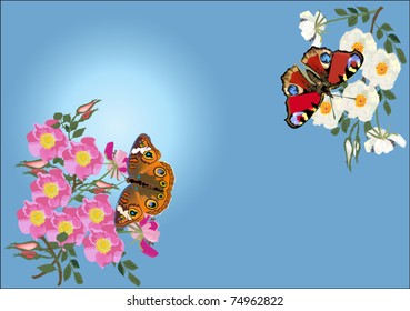illustration with butterflies and brier flowers
