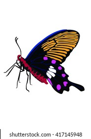 illustration butterflies design isolated with white