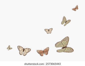 Illustration of butterflies in flight. Various butterflies with detailed wings. Delicate butterflies in soft colors on a white background. Vintage butteries on white background, vector.