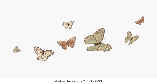 Illustration of butterflies in flight. Butterflies in various sizes and colors, like brown and green. Delicate butterfly wings spread in graceful flight. Vintage butteries on white background, vector.