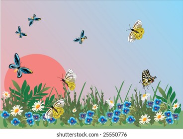 Illustration with butterflies, flowers and grass