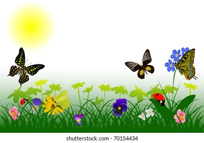 Illustration with butterflies, flowers, grass and ladybugs