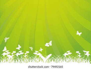 illustration with butterflies and flowers under bright sun