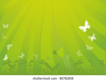 illustration with butterflies and flowers under bright sun