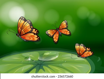 Illustration butterflies flying over water lily