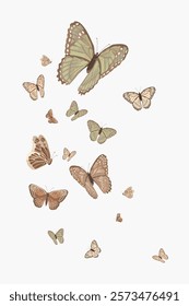 Illustration of butterflies in shades of brown and green. Butterflies in flight, showcasing diverse patterns and sizes. Nature-themed butterfly art. Vintage butteries on white background, vector.