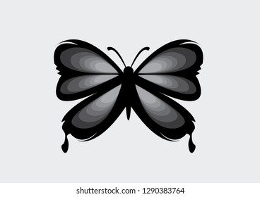 Illustration Of A Butterfly