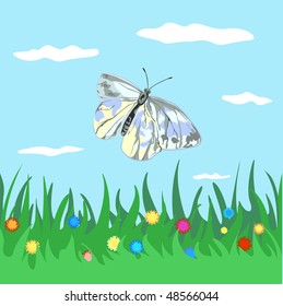 illustration of  butterfly