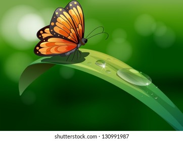 Illustration of a butterfly above a leaf with water drops