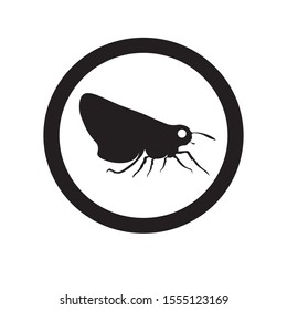illustration of a butterfly with a circle