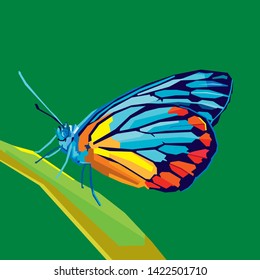 Illustration of butterfly in color pop art 